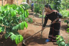 Ảnh minh họa. (Ảnh: Phạm Cường/TTXVN)