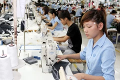 Ảnh minh họa. (Nguồn: TTXVN)