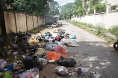 Ảnh minh họa. (Nguồn: TTXVN)