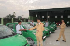 Ảnh minh họa. (Nguồn: TTXVN)