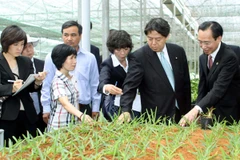 Ảnh minh họa. (Nguồn: TTXVN)