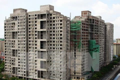 Ảnh minh họa. (Nguồn: TTXVN)