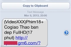 Một dạng tin nhắn lừa đảo quấy rầy người tiêu dùng. (Ảnh: Vietnam+)