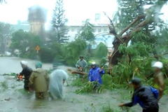 Cơn bão vừa qua đã làm cho người dân miền Trung - Tây Nguyên điêu đứng. (Ảnh: Thanh Long/Vietnam+) 