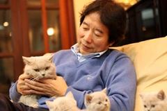 Cứ lúc nào rảnh rỗi, anh Trung lại ôm ấp, vuốt ve những chú mèo cưng của mình. (Ảnh: Trung Hiền/Vietnam+)