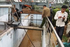 Tìm đường cống ngầm xả thải trái phép của Tung Kuang. (Ảnh: Trung Hiền/Vietnam+)