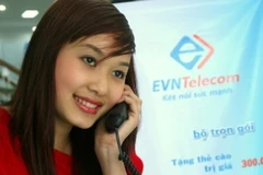 Hiện vẫn chưa có ý kiến cuối cùng về vụ sáp nhập EVN Telecom. (Ảnh: Internet)