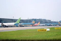 Máy bay của các hãng hàng không tại một sân bay. (Ảnh: Việt Hùng/Vietnam+)