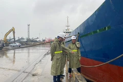 Ông Nguyễn Xuân Sang, Cục trưởng Cục Hàng hải Việt Nam yêu cầu các đơn vị tuyệt đối không được chủ quan, tận dụng triệt để các kinh nghiệm phòng chống bão. (Ảnh: CTV/Vietnam+)