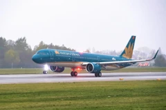 Máy bay của hãng hàng không Vietnam Airlines. (Ảnh: CTV/Vietnam+)