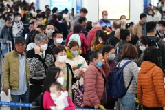 Hành khách làm thủ tục chuyến bay tại Cảng hàng không quốc tế Nội Bài. (Ảnh: CTV/Vietnam+)