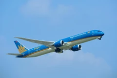 Nhà nước cần hỗ trợ vốn để Vietnam Airlines vượt qua khó khăn do thiệt hại vì dịch COVID-19. (Ảnh: Hoàng Anh/Vietnam+)