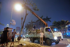 Chủ tịch Ủy ban nhân dân Hà Nội khẳng định sẽ công khai kết quả xử lý trách nhiệm liên quan tới vụ chặt hạ cây xanh (Ảnh: Minh Sơn/Vietnam+) 
