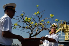 Những chuyến đi nghĩa tình mang Tết đến thềm lục địa phía Nam