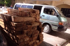 Chiếc xe cùng số gỗ chưa rõ nguồn gốc (Ảnh: Cơ quan chức năng cung cấp) 