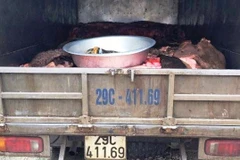 Hà Nội: Cảnh sát giao thông bắt giữ xe tải chở 1 tấn da trâu bò 