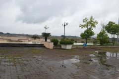 Hiện trường nơi phát hiện sự việc.