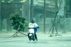 Từ chiều tối và đêm nay Bắc Bộ xuất hiện mưa vừa đến mưa to