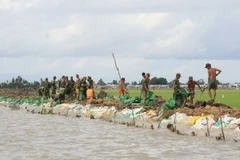 Xuất hiện lũ tại khu vực Bắc Bộ và Đồng bằng sông Cửu Long 