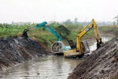 Cần Thơ xây dựng đê bao bảo vệ vườn cây ăn quả đặc sản