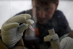 Mỹ chuẩn bị tiến hành thử nghiệm vắcxin Ebola trên người