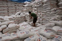 Phillipines bác toàn bộ hồ sơ dự thầu nhập khẩu 500.000 tấn gạo