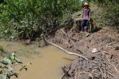 Nước tràn qua gây ngập ruộng rẫy tại Sóc Trăng. (Ảnh: Trung Hiếu/TTXVN)