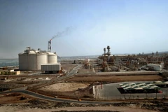 Ảnh minh họa. (Nguồn: AFP/TTXVN)