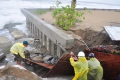 (Ảnh minh họa: TTXVN phát)