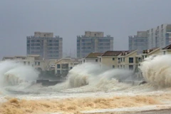 Ảnh minh họa. (Nguồn: Reuters/TTXVN)
