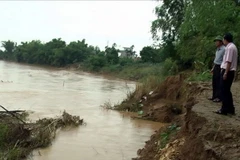 Đoạn bờ sông bị sạt lở đoạn qua thôn Phước Yên, xã Đại An, huyện Đại Lộc. (Ảnh: Đoàn Hữu Trung/TTXVN)
