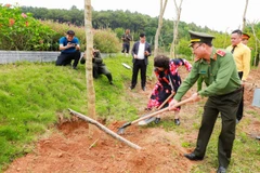 Tết trồng cây nhớ ơn Bác tại đền Chung Sơn: Gieo mầm xanh, gặt hy vọng