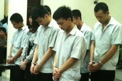 My "sói" và đồng bọn trước vành móng ngựa. (Ảnh: Cẩm Thơ/Vietnam+)