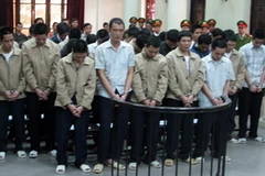 Luật sư cho rằng án tuyên nhóm "sưa tặc" là không "nhẹ"(Ảnh: Cẩm Thơ/Vietnam+)