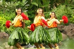 Vũ điệu bốc lửa và sexy Hula. (Ảnh: Internet)