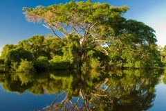 Hồ Hà Nội đang bị đê dọa ô nhiễm nghiêm trọng. (Ảnh: Internet)