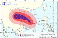 Ảnh minh họa. (Ảnh: Internet)