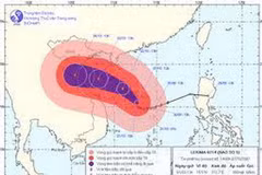 Ảnh minh họa. (Ảnh: Internet)