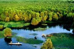 Vựa lúa của cả nước cần được tăng sức "đề kháng" để ứng phó với biến đổi khí hậu. (Ảnh: Internet)