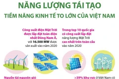 Năng lượng tái tạo: Tiềm năng kinh tế to lớn của Việt Nam