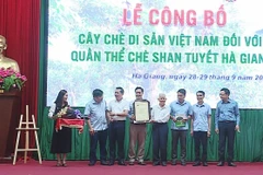 Hội Bảo vệ thiên nhiên và Môi trường Việt Nam công bố và trao quyết định công nhận 1.324 cây chè Shan tuyết của tỉnh Hà Giang là Cây Di sản Việt Nam. (Ảnh: Nam Thái/TTXVN)
