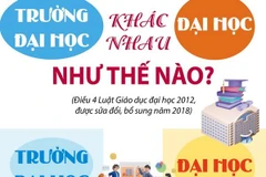 [Infographics] Đại học và trường đại học khác nhau như thế nào?