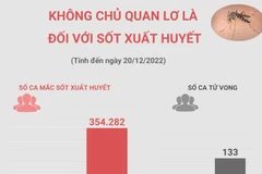 [Infographics] Số ca sốt xuất huyết tăng 5 lần so với cùng kỳ năm 2021
