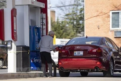 Giá dầu trên thị trường thế giới xuống mức thấp nhất trong năm nay. (Nguồn: THX/TTXVN)