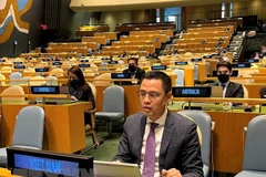 Đại sứ Đặng Hoàng Giang. (Ảnh: Khắc Hiếu/TTXVN)