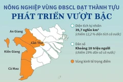 Nông nghiệp vùng Đồng bằng sông Cửu Long phát triển vượt bậc