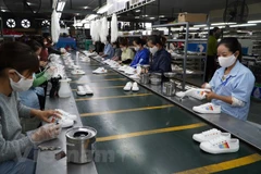 Các doanh nghiệp da giày đẩy mạnh sản xuất, tận dụng cơ hội từ các FTA để thúc đẩy xuất khẩu. (Ảnh: Đức Duy/Vietnam+) 