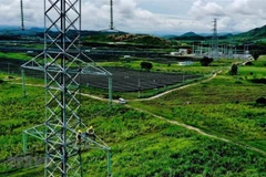 Ảnh minh họa. (Nguồn: TTXVN)