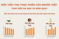 Mức tiêu thụ thực phẩm của người Việt thay đổi ra sao 10 năm qua?