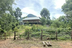 Căn nhà sàn trái phép trên đất rừng phòng hộ của bà Trương Thị Lệ Thâm được xây dựng từ lâu nhưng đến nay cơ quan chức năng vẫn chưa xử lý dứt điểm. (Ảnh: Tường Quân/TTXVN)